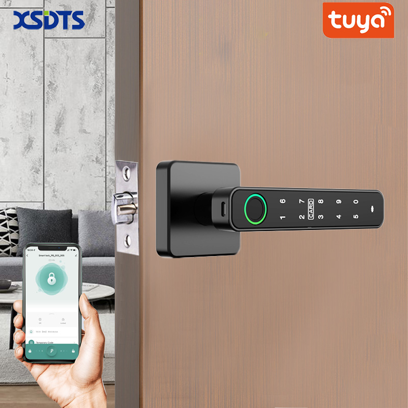 Smart Home Technology - XSDTS Tuya Handle Fingerprint Key Card