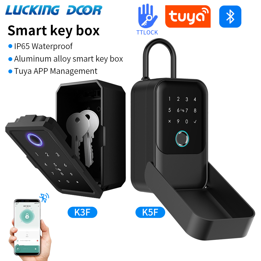 Smart Home Box - Tuya Smart Life App or TTLock