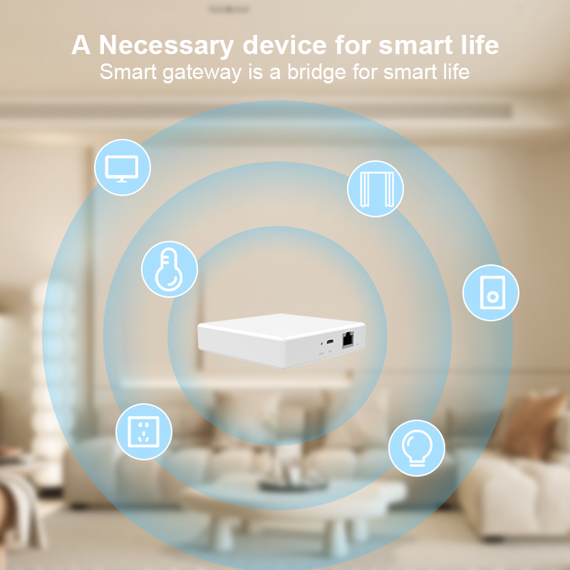 Matter Gateway Hub Homekit Tuy - Smart Home Gira 评论和价格