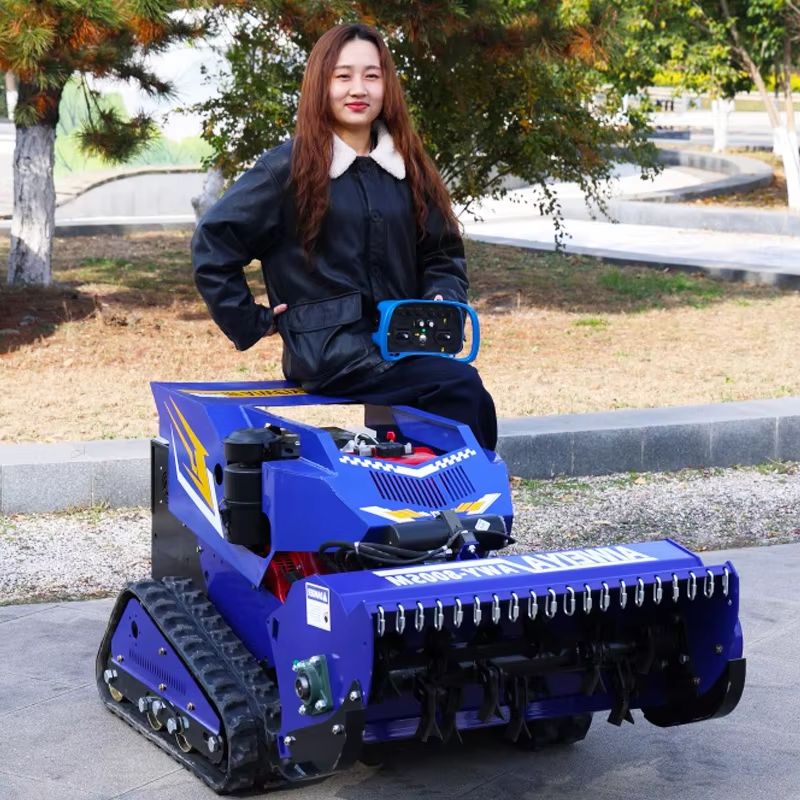 Customized High Quality Zero T - Smart Home Robot 评论和价格