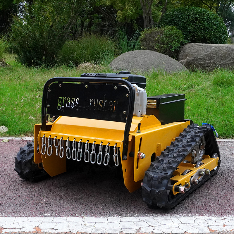 Customized Robotic Automatic L - Smart Home Robot 评论和价格