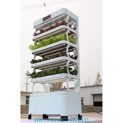 arming Home Hydroponic Growing - Smart Home Uses 评论和价格