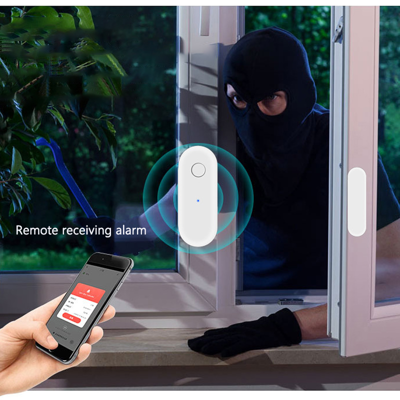 Remote Receiving Alarm Wi-Fi I - Door Window Sensor 评论和价格