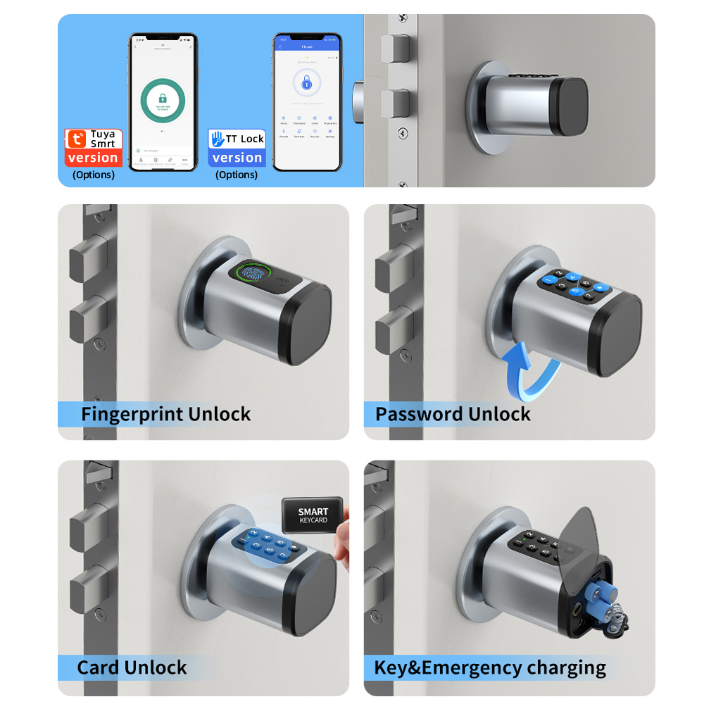 RAYKUBE V1 Tuya BLE TT Lock Sm - Smart Home Technology 评论和价格