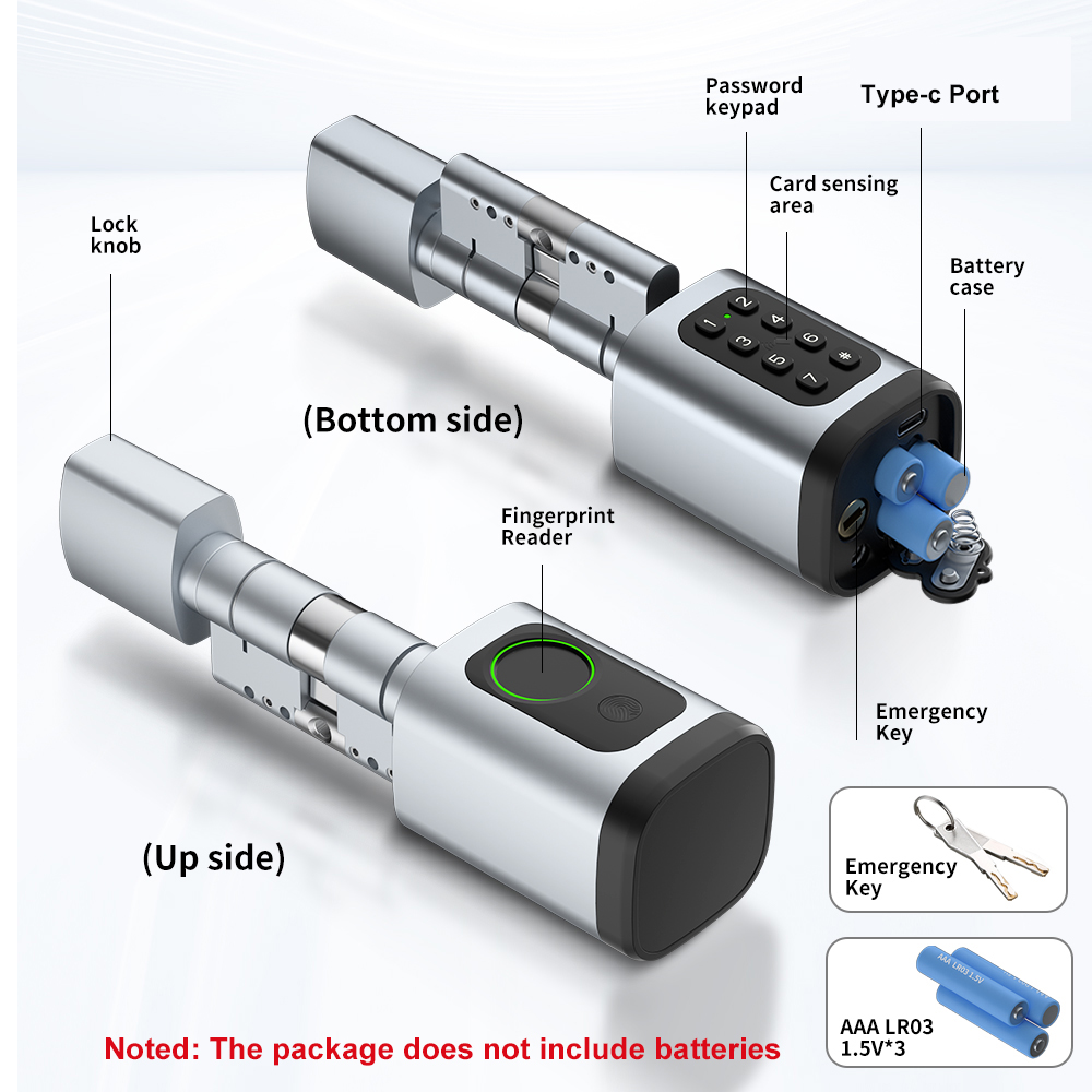 RAYKUBE V1 Tuya BLE TT Lock Sm - Smart Home Technology 评论和价格