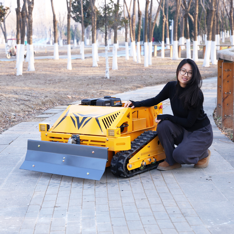 Customized Smart Durable Grass - Smart Home Robot 评论和价格