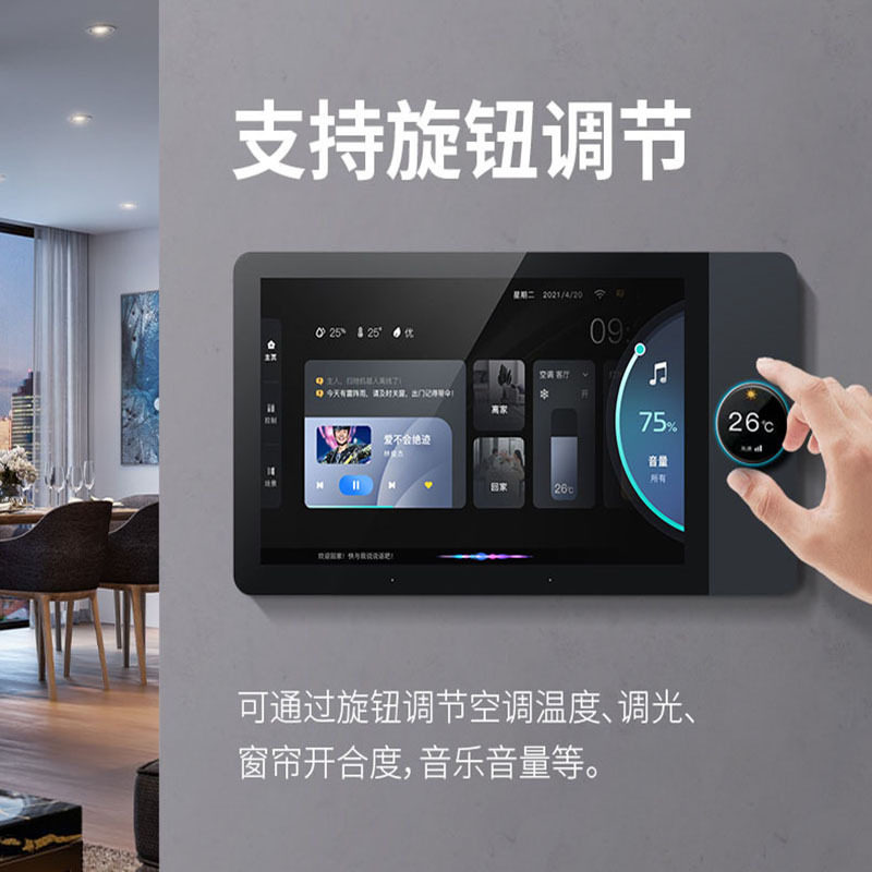Doodle Smart Central Control S - Zigbee Gateway 评论和价格