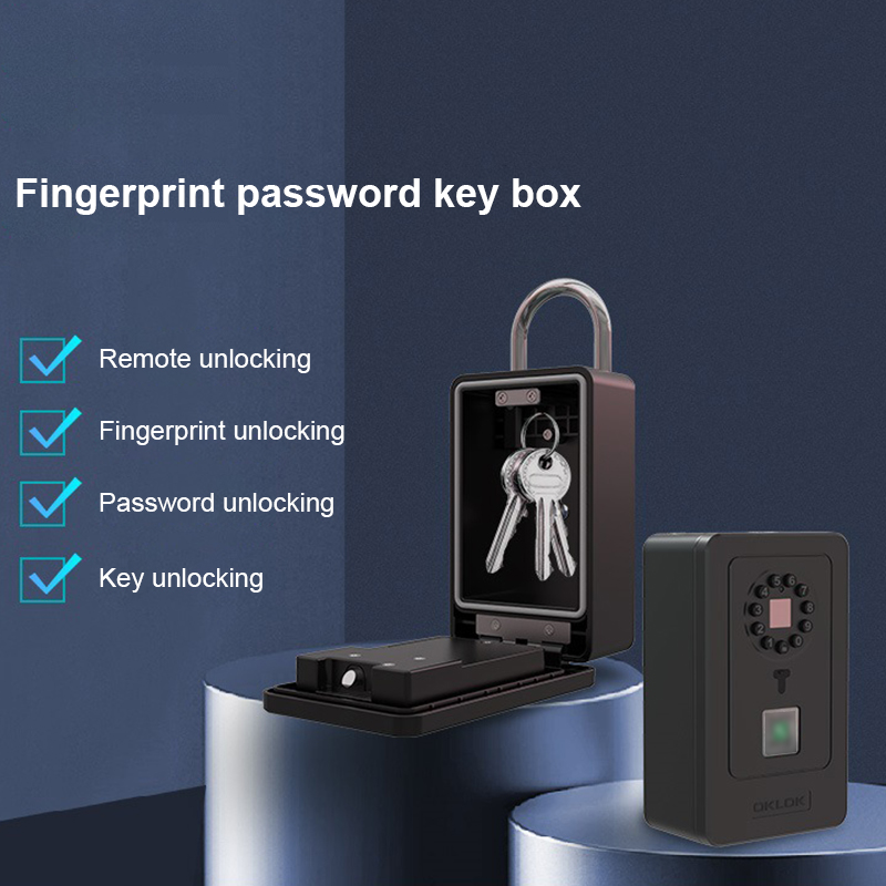 Intelligent Padlock Hang Desig - Smart Home Box 评论和价格