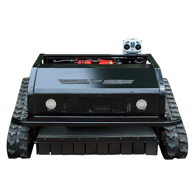 Customized Good Quality Remote - Smart Home Robot 评论和价格