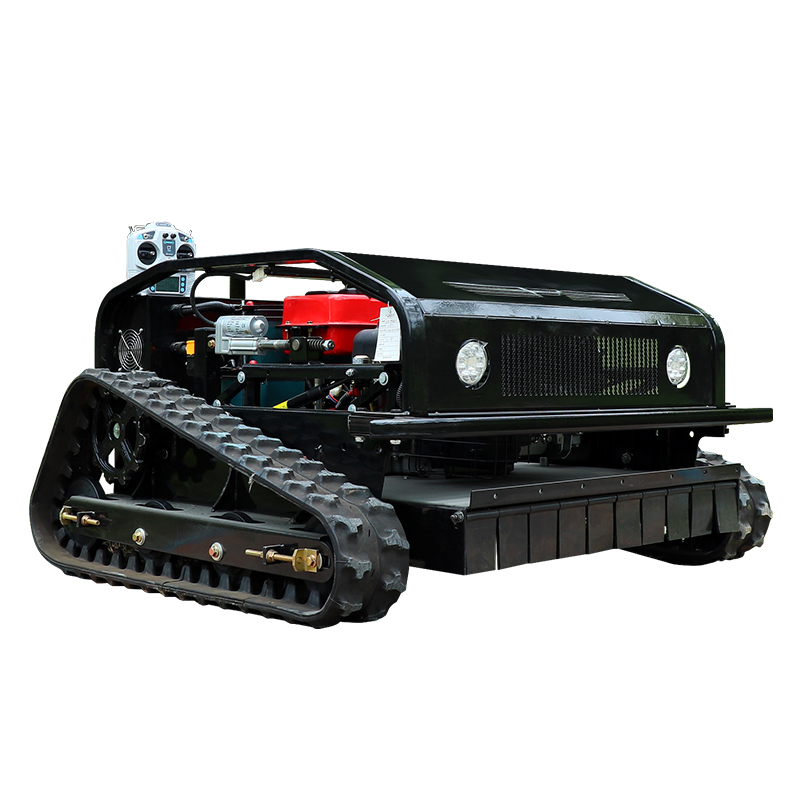 Customized Good Quality Remote - Smart Home Robot 评论和价格