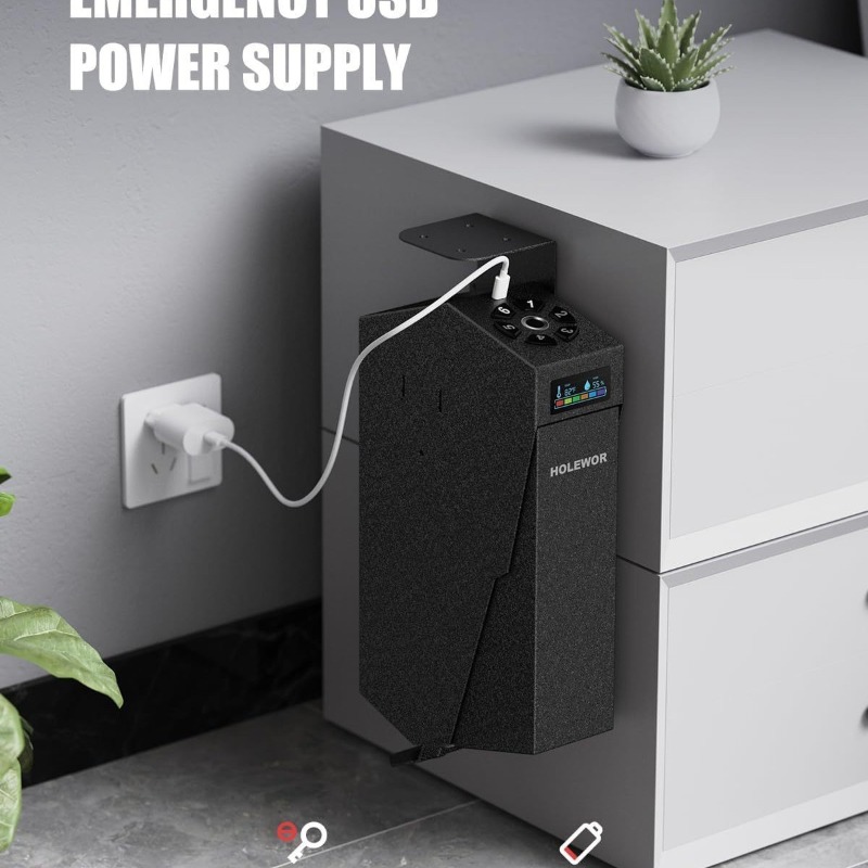 Smart Fingerprint Handgun Safe - Smart Home Box 评论和价格
