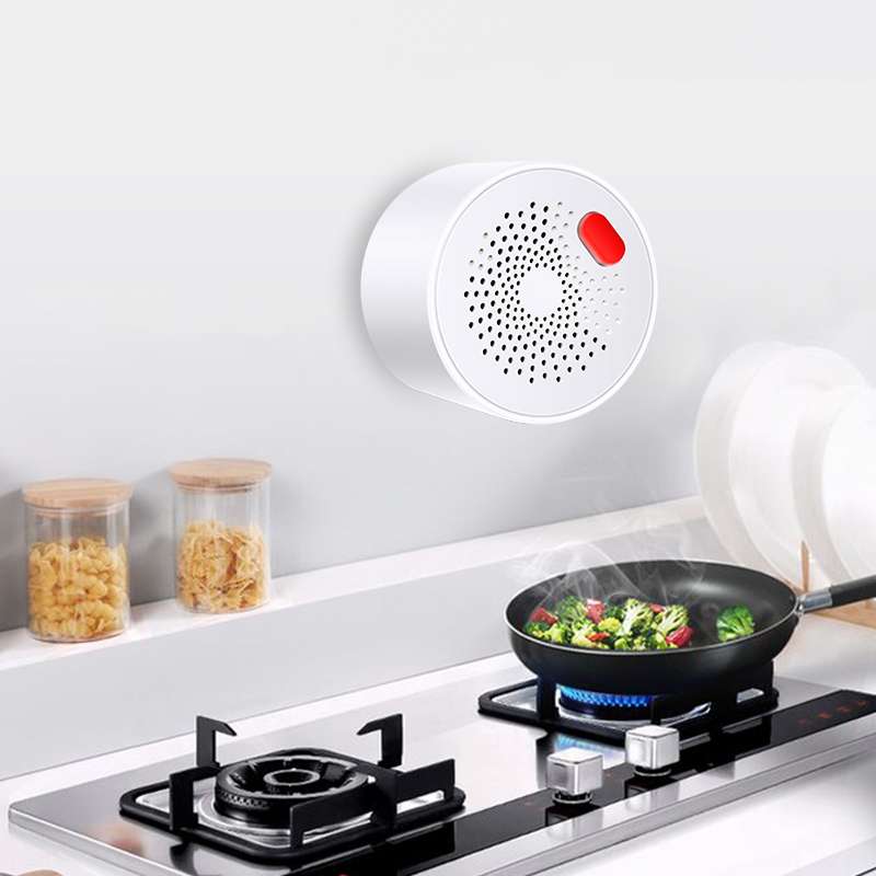 Tuya Smart Home Wifi Natural G - Smart Home Outdoor 评论和价格