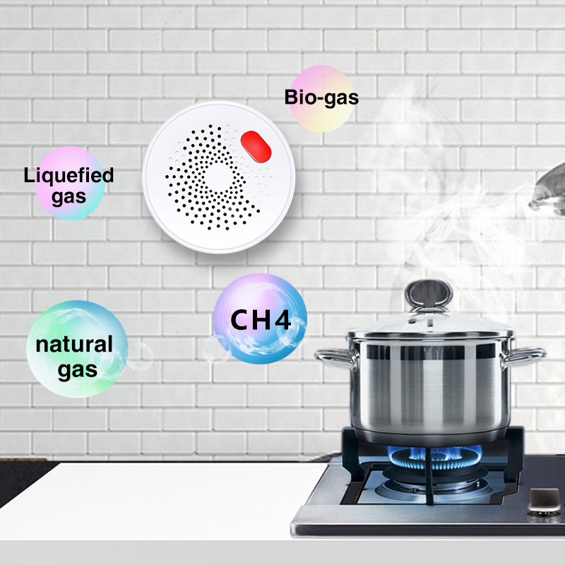 Tuya Smart Home Wifi Natural G - Smart Home Outdoor 评论和价格