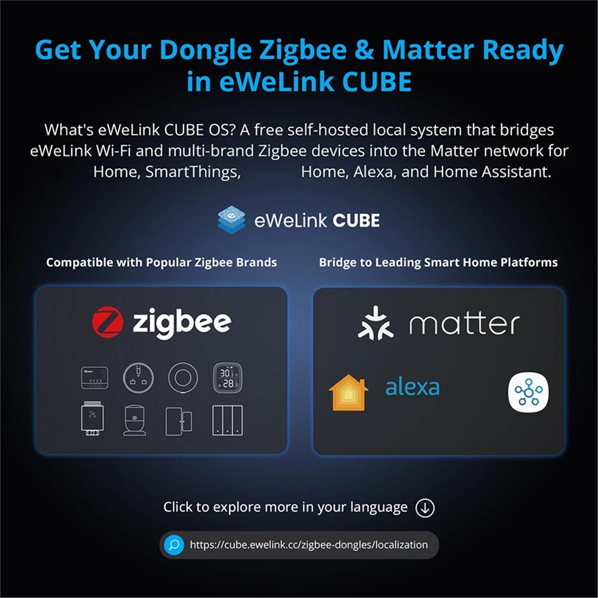 Dongle Plus MG24 Zigbee Thread - Smart Home Plus 评论和价格